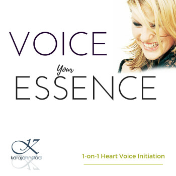 Voice Visionaary Kara Johnstad and Voice Your Essence Training Sessions.