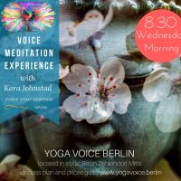 4 Part VOICE Meditation Experience