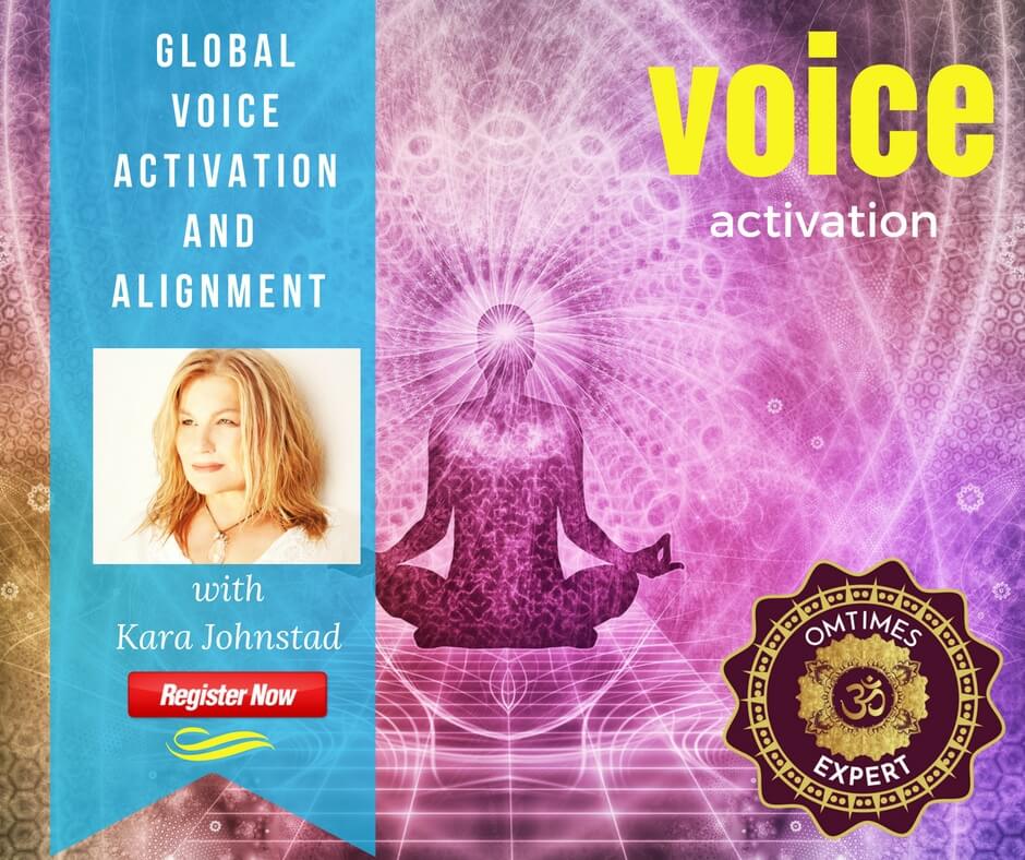 Global Voice Activation and Alignment - Webinar with Kara Johnstad on OMTimes Expert